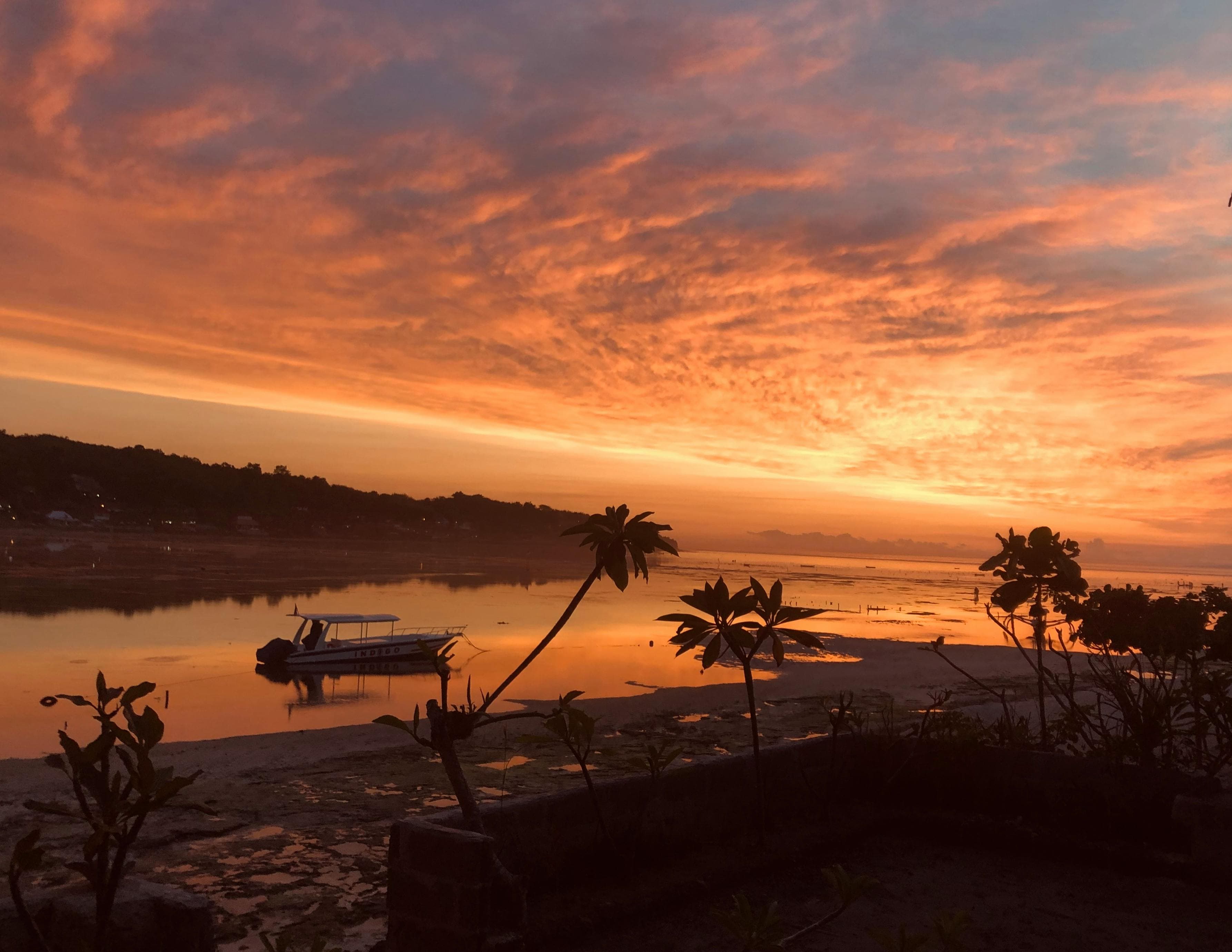 All Inclusive: Nusa Penida West: Kelingking, Broken Beach & Crystal Bay Image 4