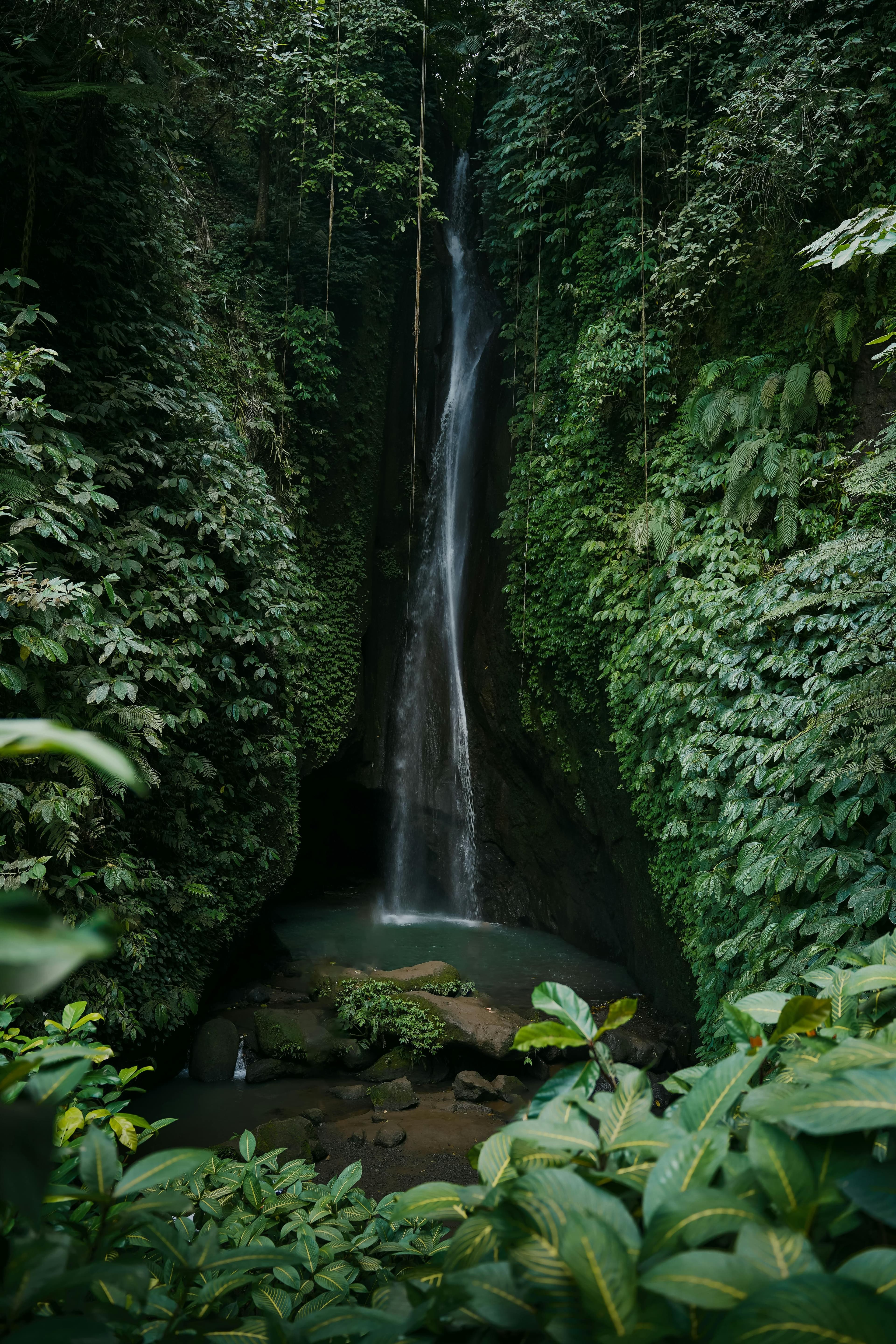 North Bali: Swing, Leke Leke, Ulun Danu & Jatiluwih Image 6