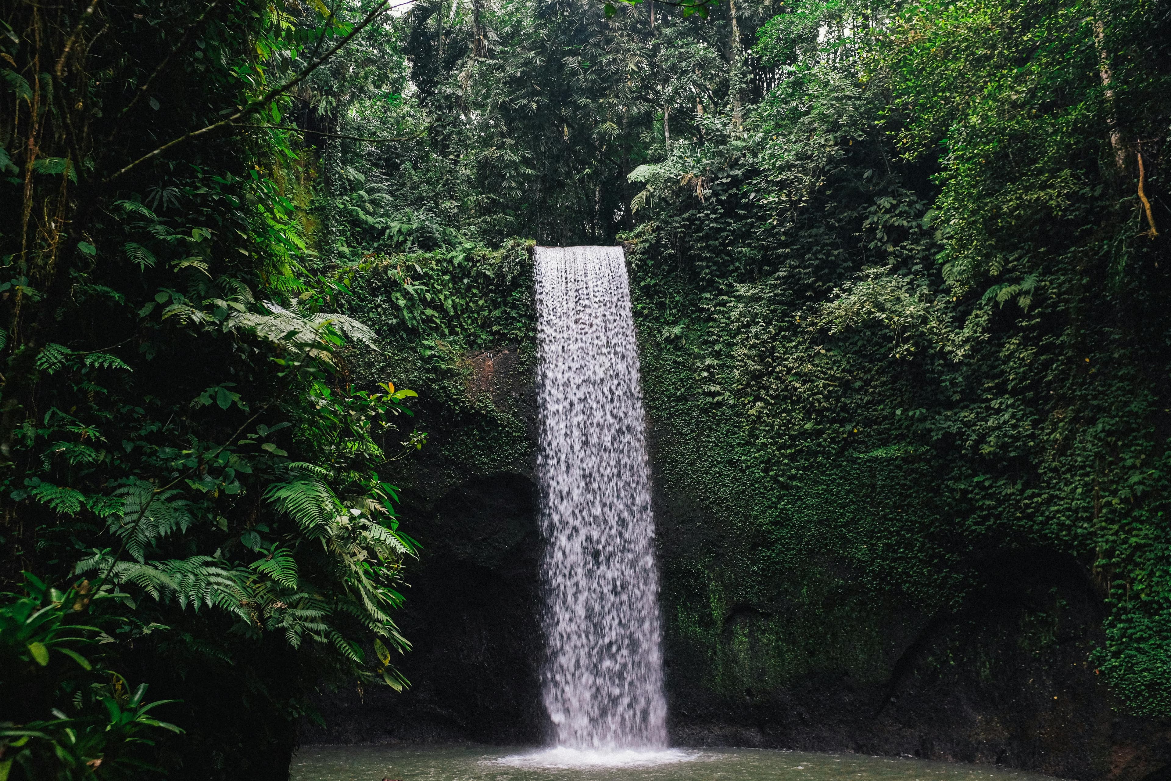 Central Bali: Penglipuran, Volcano View & Triple Waterfall Adventure Image 7