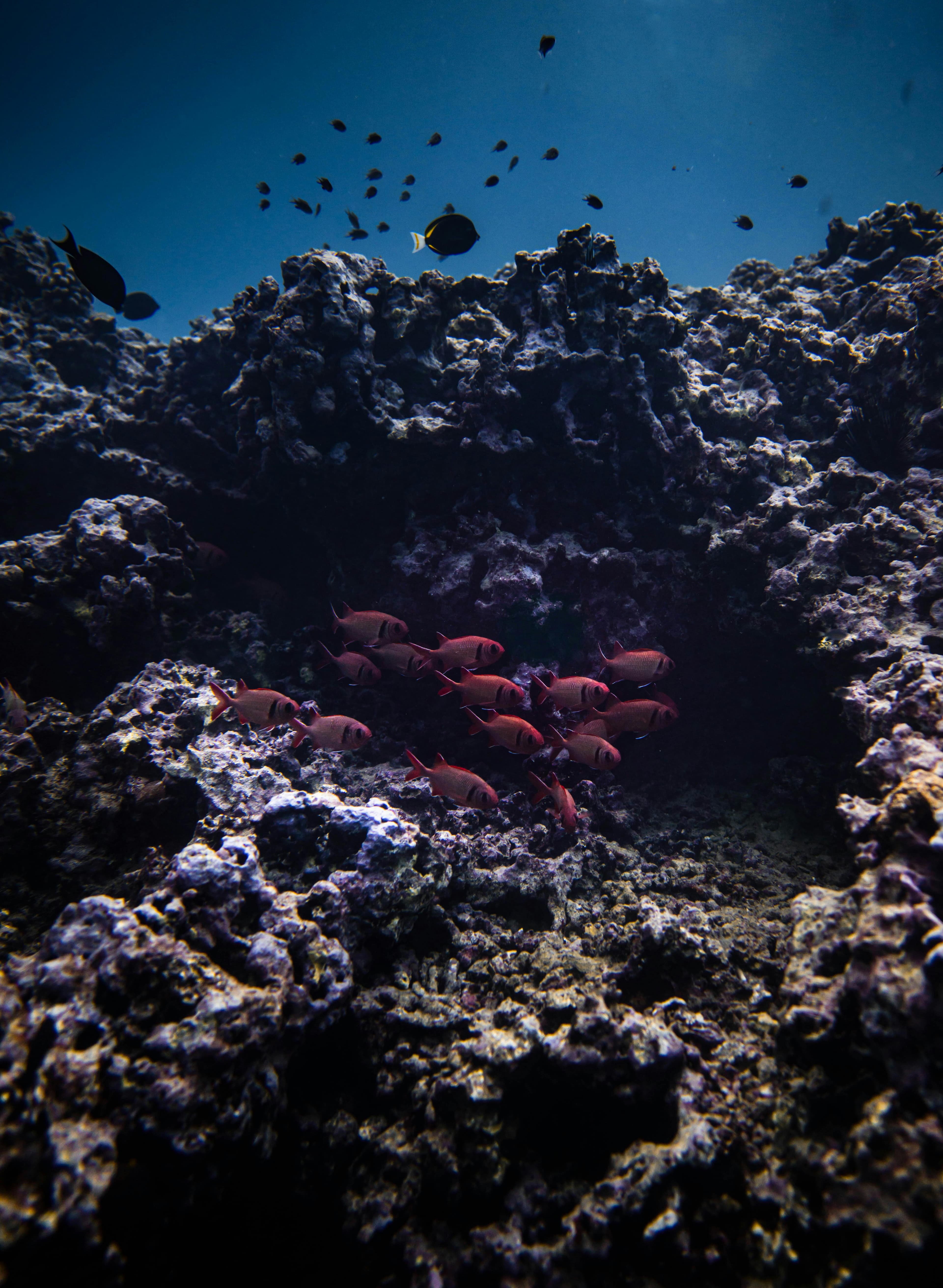 East Bali: Gates of Heaven, Snorkeling & Water Palace Image 5